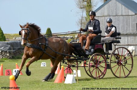 2017-04-23 CCA Saint Antoine la forêt - Concurrents amateurs, 05-DSC_5700
