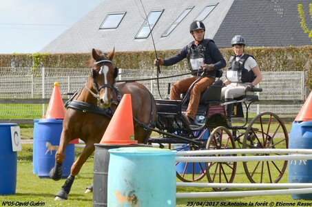 2017-04-23 CCA Saint Antoine la forêt - Concurrents amateurs, 05-DSC_5717
