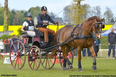 2017-04-23 CCA Saint Antoine la forêt - Concurrents amateurs, 05-DSC_5726