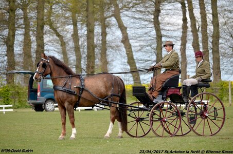 2017-04-23 CCA Saint Antoine la forêt - Concurrents amateurs, 06-DSC_5215