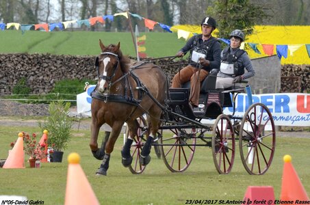 2017-04-23 CCA Saint Antoine la forêt - Concurrents amateurs, 06-DSC_6303