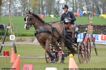 2017-04-23 CCA Saint Antoine la forêt - Concurrents amateurs, 06-DSC_6307