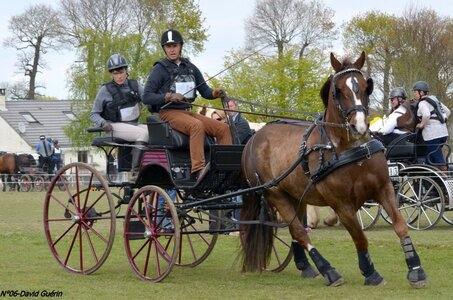 2017-04-23 CCA Saint Antoine la forêt - Concurrents amateurs, 06-DSC_6313