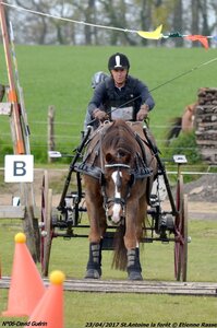 2017-04-23 CCA Saint Antoine la forêt - Concurrents amateurs, 06-DSC_6332