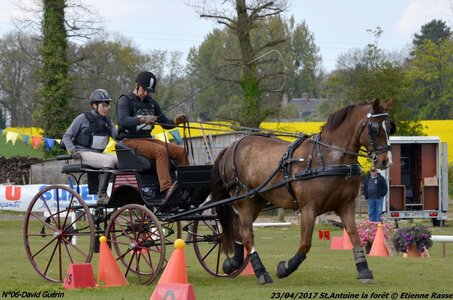 2017-04-23 CCA Saint Antoine la forêt - Concurrents amateurs, 06-DSC_6353