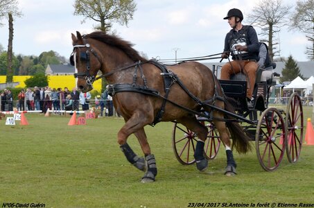 2017-04-23 CCA Saint Antoine la forêt - Concurrents amateurs, 06-DSC_6355