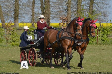 2017-04-23 CCA Saint Antoine la forêt - Concurrents amateurs, 07-DSC_5061