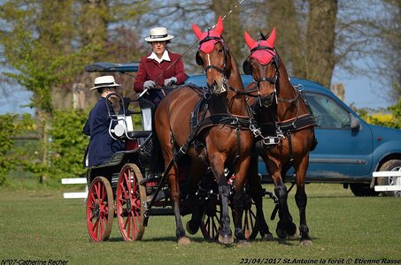 2017-04-23 CCA Saint Antoine la forêt - Concurrents amateurs, 07-DSC_5067