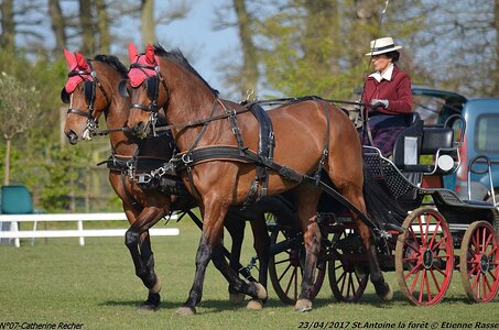 2017-04-23 CCA Saint Antoine la forêt - Concurrents amateurs, 07-DSC_5069