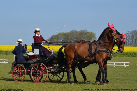 2017-04-23 CCA Saint Antoine la forêt - Concurrents amateurs, 07-DSC_5072