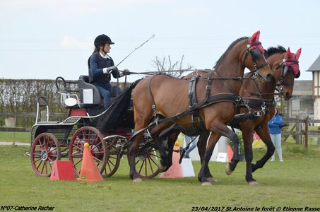 2017-04-23 CCA Saint Antoine la forêt - Concurrents amateurs, 07-DSC_5782