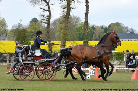 2017-04-23 CCA Saint Antoine la forêt - Concurrents amateurs, 07-DSC_5807