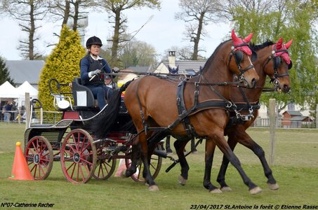 2017-04-23 CCA Saint Antoine la forêt - Concurrents amateurs, 07-DSC_5810