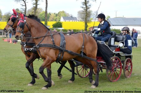 2017-04-23 CCA Saint Antoine la forêt - Concurrents amateurs, 07-DSC_5854