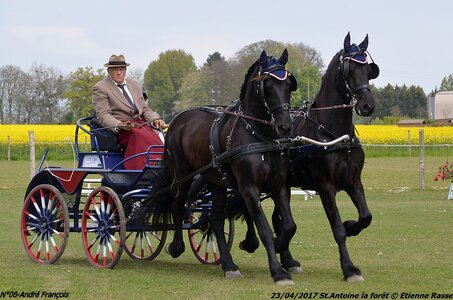 2017-04-23 CCA Saint Antoine la forêt - Concurrents amateurs, 08-DSC_5184