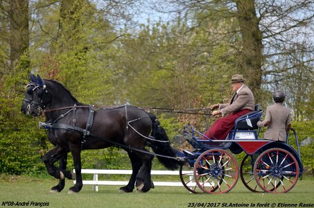 2017-04-23 CCA Saint Antoine la forêt - Concurrents amateurs, 08-DSC_5188