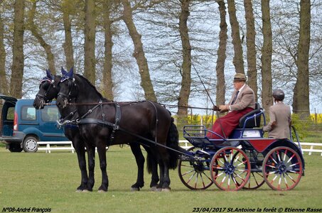2017-04-23 CCA Saint Antoine la forêt - Concurrents amateurs, 08-DSC_5196