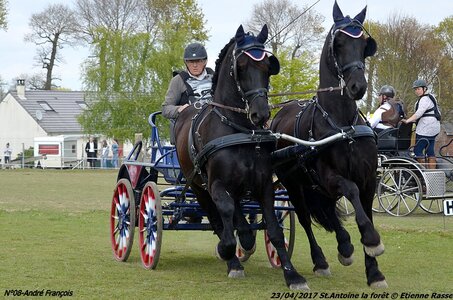 2017-04-23 CCA Saint Antoine la forêt - Concurrents amateurs, 08-DSC_6255