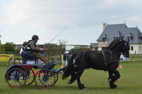 2017-04-23 CCA Saint Antoine la forêt - Concurrents amateurs, 08-DSC_6271