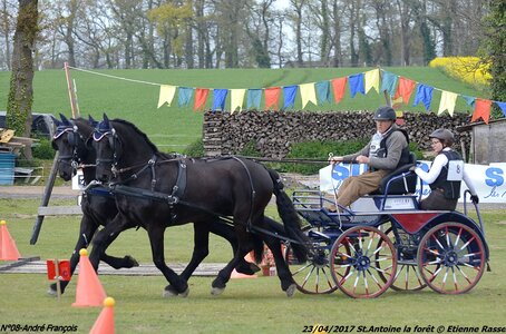 2017-04-23 CCA Saint Antoine la forêt - Concurrents amateurs, 08-DSC_6287