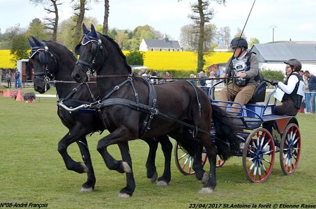 2017-04-23 CCA Saint Antoine la forêt - Concurrents amateurs, 08-DSC_6293