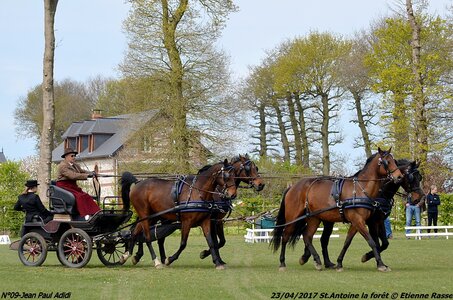 2017-04-23 CCA Saint Antoine la forêt - Concurrents amateurs, 09-DSC_5227