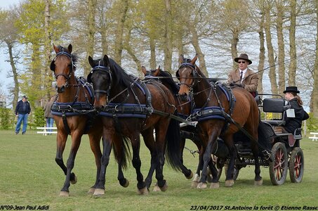 2017-04-23 CCA Saint Antoine la forêt - Concurrents amateurs, 09-DSC_5229