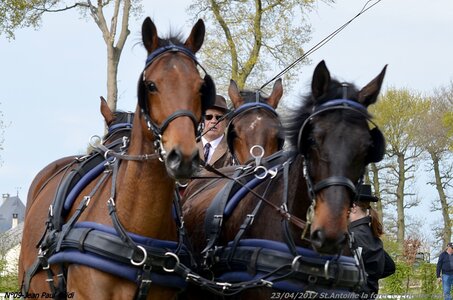 2017-04-23 CCA Saint Antoine la forêt - Concurrents amateurs, 09-DSC_5230