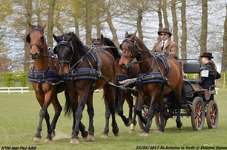 2017-04-23 CCA Saint Antoine la forêt - Concurrents amateurs, 09-DSC_5238
