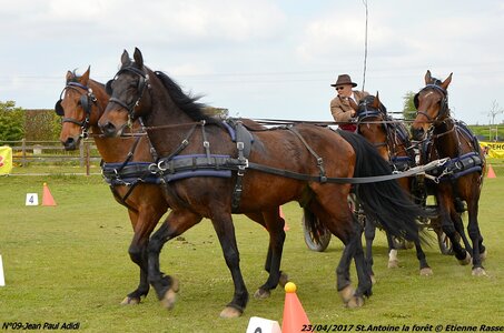 2017-04-23 CCA Saint Antoine la forêt - Concurrents amateurs, 09-DSC_5251