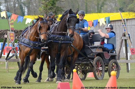 2017-04-23 CCA Saint Antoine la forêt - Concurrents amateurs, 09-DSC_6379