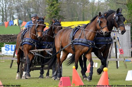 2017-04-23 CCA Saint Antoine la forêt - Concurrents amateurs, 09-DSC_6380