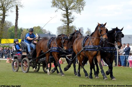 2017-04-23 CCA Saint Antoine la forêt - Concurrents amateurs, 09-DSC_6381