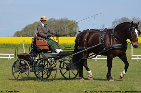 2017-04-23 CCA Saint Antoine la forêt - Concurrents amateurs, 11-DSC_5123