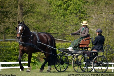 2017-04-23 CCA Saint Antoine la forêt - Concurrents amateurs, 11-DSC_5126