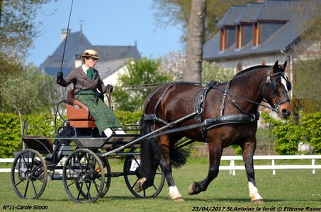 2017-04-23 CCA Saint Antoine la forêt - Concurrents amateurs, 11-DSC_5127