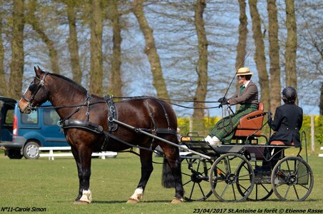 2017-04-23 CCA Saint Antoine la forêt - Concurrents amateurs, 11-DSC_5132