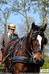 2017-04-23 CCA Saint Antoine la forêt - Concurrents amateurs, 11-DSC_5133