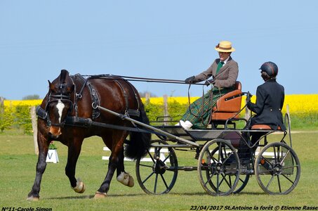 2017-04-23 CCA Saint Antoine la forêt - Concurrents amateurs, 11-DSC_5135