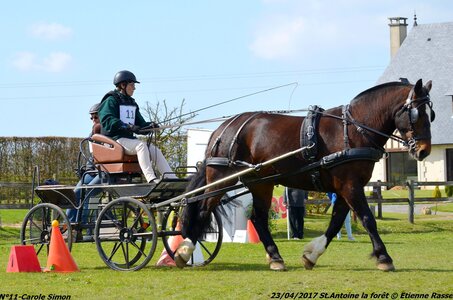 2017-04-23 CCA Saint Antoine la forêt - Concurrents amateurs, 11-DSC_6090