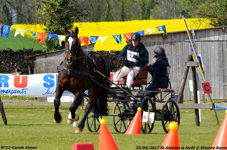 2017-04-23 CCA Saint Antoine la forêt - Concurrents amateurs, 11-DSC_6103