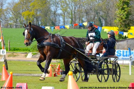 2017-04-23 CCA Saint Antoine la forêt - Concurrents amateurs, 11-DSC_6109