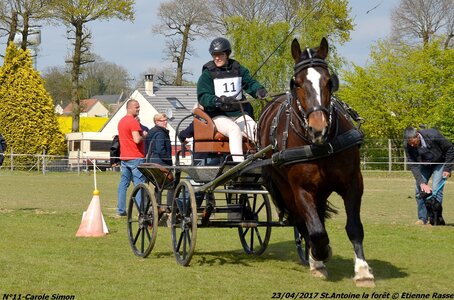 2017-04-23 CCA Saint Antoine la forêt - Concurrents amateurs, 11-DSC_6120