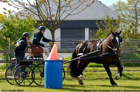2017-04-23 CCA Saint Antoine la forêt - Concurrents amateurs, 11-DSC_6128