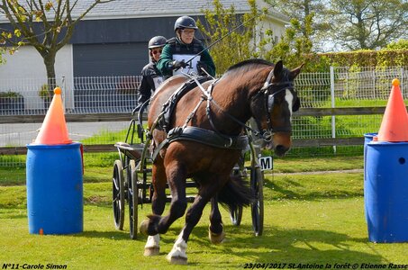 2017-04-23 CCA Saint Antoine la forêt - Concurrents amateurs, 11-DSC_6131