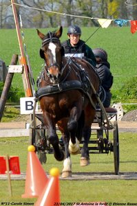2017-04-23 CCA Saint Antoine la forêt - Concurrents amateurs, 11-DSC_6146