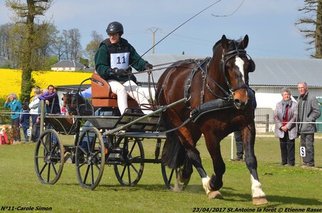 2017-04-23 CCA Saint Antoine la forêt - Concurrents amateurs, 11-DSC_6154