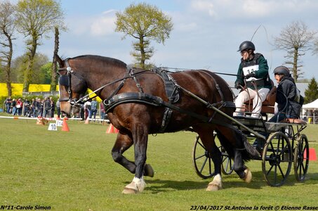 2017-04-23 CCA Saint Antoine la forêt - Concurrents amateurs, 11-DSC_6159