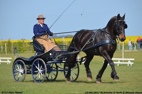 2017-04-23 CCA Saint Antoine la forêt - Concurrents amateurs, 12-DSC_5107