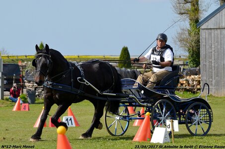 2017-04-23 CCA Saint Antoine la forêt - Concurrents amateurs, 12-DSC_6048